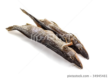 Pike isolated on white background Pike isolated on white background 34945481