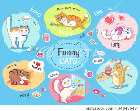 Funny Cats Poster with Images of Everyday Life Funny Cats Poster with Images of Everyday Life 34945649