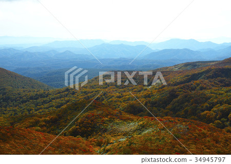 Mount Kurikoma in the autumn 34945797