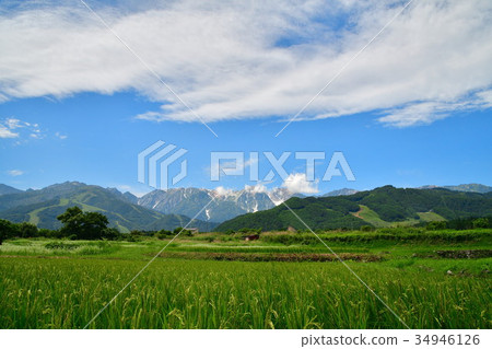 白馬山脈(長野縣) 白馬山脈(長野縣) 34946126