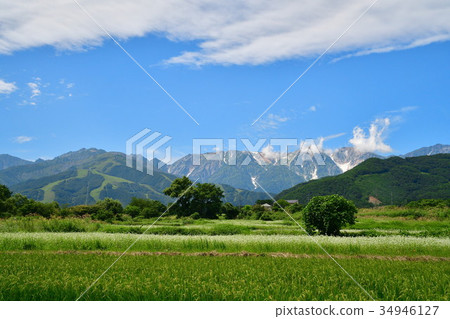 Hakuba mountain range (Nagano Prefecture) Hakuba mountain range (Nagano Prefecture) 34946127