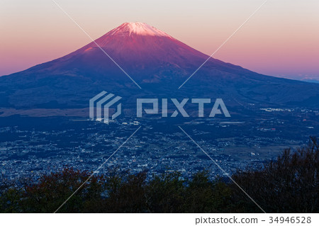 Mt. Fuji and the Gotenba city in the morning seen from Hakone-Kintokiyama 34946528