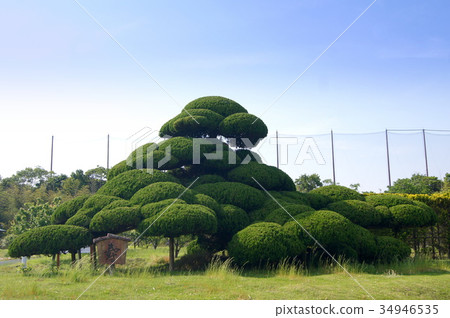 由“Kotobuki”製作的Kaiju Kai-buki(日式藝術品) 由“Kotobuki”製作的Kaiju Kai-buki(日式藝術品) 34946535