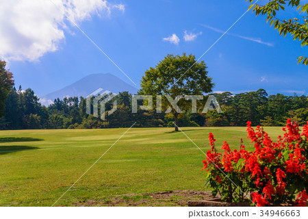 [Fujiyoshida City, Yamanashi Prefecture] Autumn leaves of Fuji Pines Park 34946663