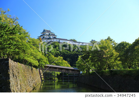 和歌山城 和歌山城 34947245