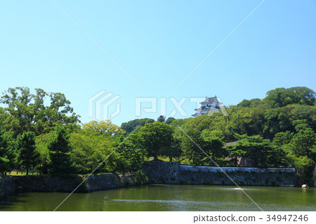 和歌山城 和歌山城 34947246