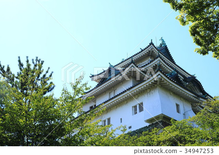 和歌山城 和歌山城 34947253