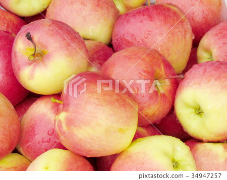 St Jacobs Village the large apples 2013 St Jacobs Village the large apples 2013 34947257