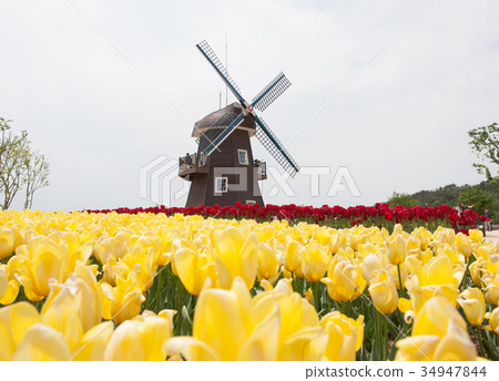 Suncheon Bay Garden, Suncheon City, Jeonnam 34947844