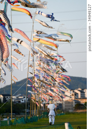 Ishikawa riverbed carp streamer Ishikawa riverbed carp streamer 34949127