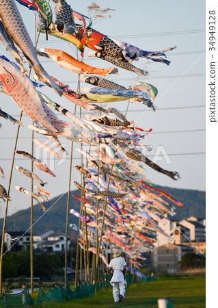 石川河床鯉魚旗 石川河床鯉魚旗 34949128