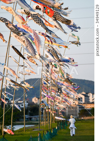 石川河床鯉魚旗 石川河床鯉魚旗 34949129