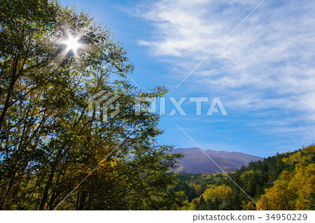 秋天瀧澤森林路富士山峰 秋天瀧澤森林路富士山峰 34950229