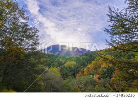 落在富士山峰的落下的秋葉瀧澤森林路太陽 落在富士山峰的落下的秋葉瀧澤森林路太陽 34950230