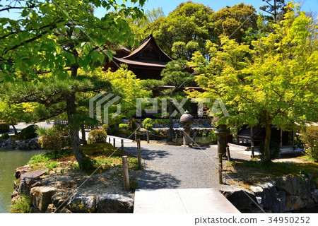 Landscape of fresh green nagahoji 34950252