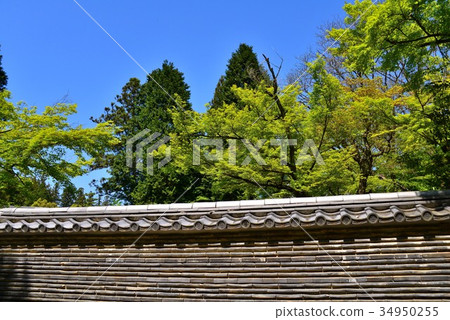 新鮮的綠色nagahoji風景 34950255