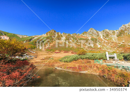 千疊敷捲曲 34950374