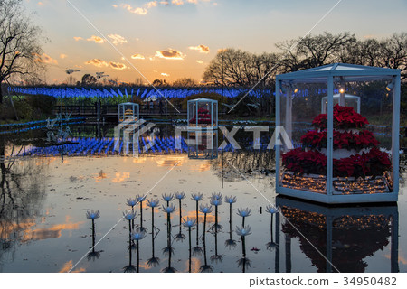 Ashika Flood Park Illumination 34950482