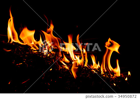 Nature Fire flames at dark night. Nature Fire flames at dark night. 34950872