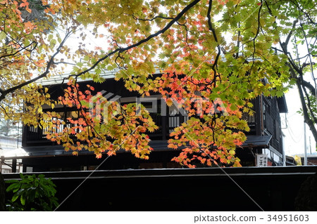 Autumn leaves in Kakudate-cho, Senkita City, Akita Prefecture Autumn leaves in Kakudate-cho, Senkita City, Akita Prefecture 34951603