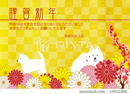 New Year's card, chrysanthemum, background 34952866
