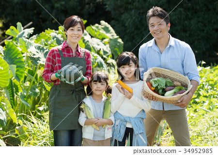 Family agriculture vegetables field children 34952985