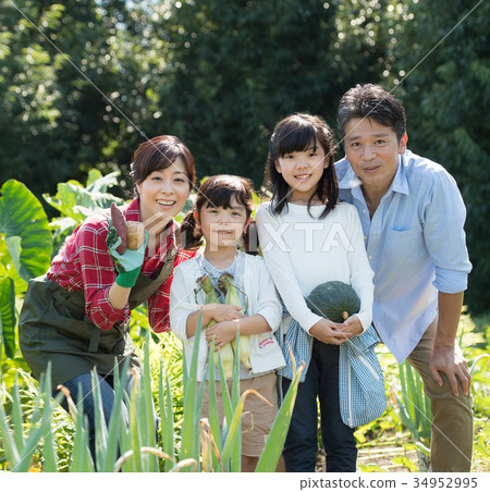 家庭農業菜領域孩子 34952995