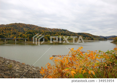 Autumn leaves, Rumoi dam Autumn leaves, Rumoi dam 34953954