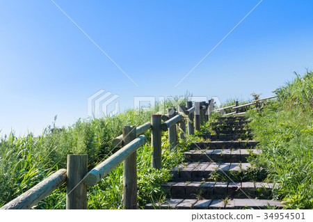 Walkway to the sky / Hokkaido Shakotancho Scene of Kamisuiki 34954501