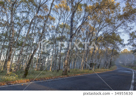 Mikahara Plateau 34955630