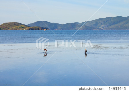 Fishermen are fishing at a lagoon in Phuoc Dong 34955643
