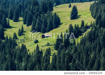 Swiss Barn  34956143