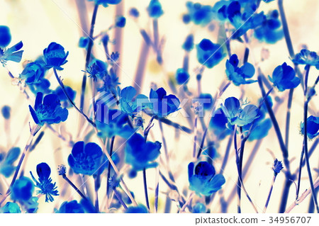 backdrop texture of colorful blue floral leaves backdrop texture of colorful blue floral leaves 34956707