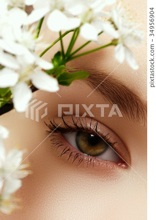 Beauty girl. Cosmetics & makeup. Beauty woman Beauty girl. Cosmetics & makeup. Beauty woman 34956904