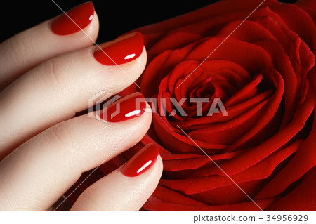 Beauty girl. Cosmetics & makeup. Beauty woman 34956929