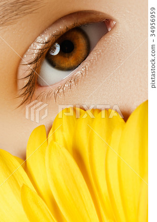 Beauty girl. Cosmetics & makeup. Beauty woman 34956959