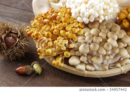 Assorted mushrooms 34957442