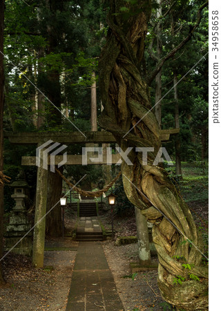 白川的Seki Torii 34958658