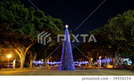 聖誕樹 34959254