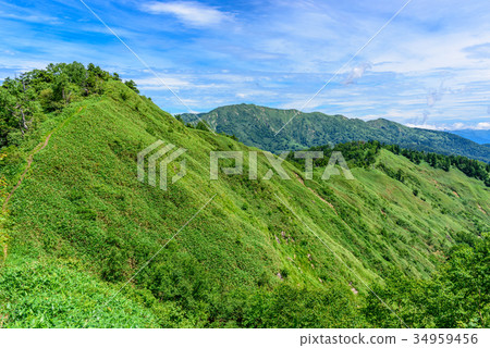 Fresh green mountain range and white sand mountain 34959456