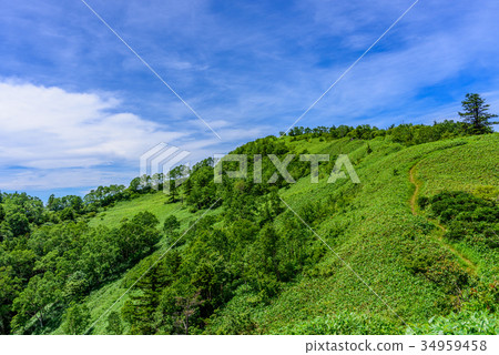 新鮮的綠色山和藍天 新鮮的綠色山和藍天 34959458
