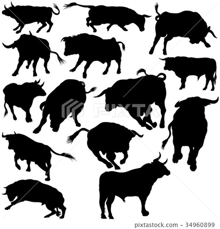 Bull Silhouettes Bull Silhouettes 34960899