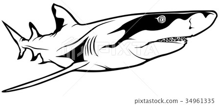 Lemon Shark 34961335