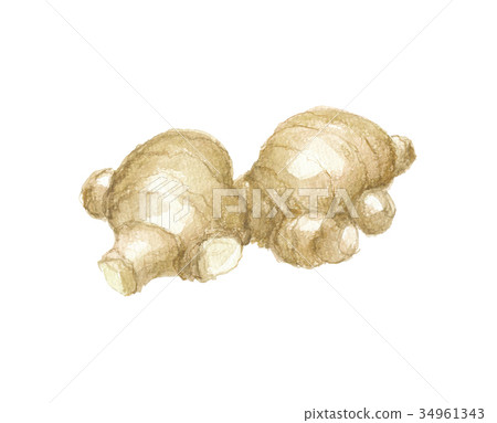 Soil ginger 34961343