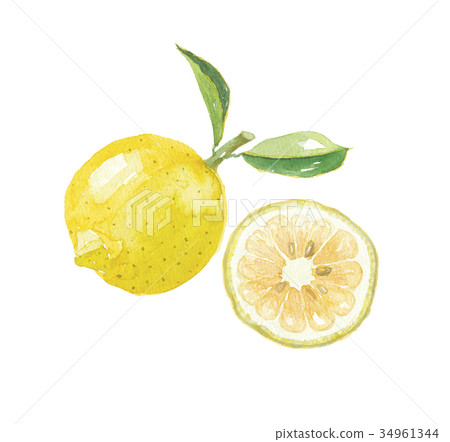 佛手柑 佛手柑 34961344