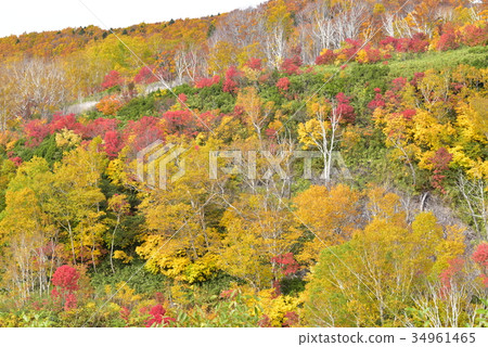 八甲田的淪陷 34961465