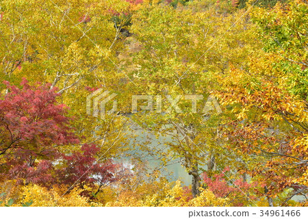 在Hakkoda Jigokunuma附近 34961466