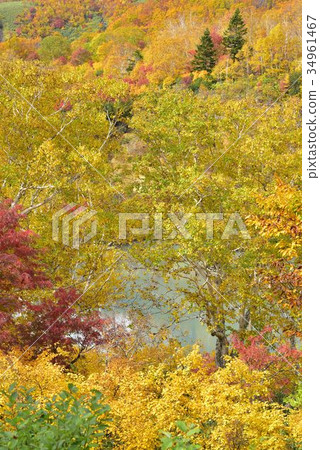 Hakkoda Hellnum秋天 34961467