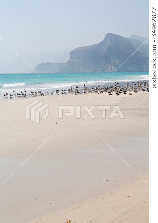 in oman coastline of salalah the   34962877