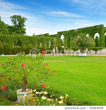 Beautiful glade in park of Schwetzingen, Germany. 34964006